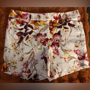 White House Black Market Shorts